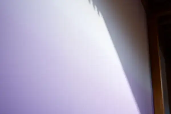 塗り壁仕上げ 事例
